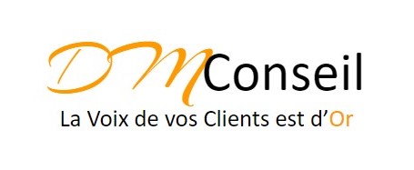 Logo entreprise DMConseil